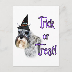 Miniature Schnauzer Trick Postkarte