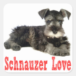 Miniature Schnauzer Welpenhühner Liebe Roter Stick Quadratischer Aufkleber