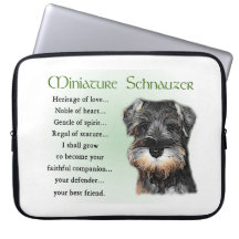 Miniature Schnauzer Welppy