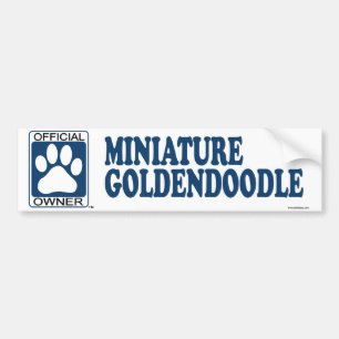 MiniaturGoldendoodle Blau Autoaufkleber