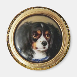 MINIATURhundeporträts Tricolor Spaniel Magnet
