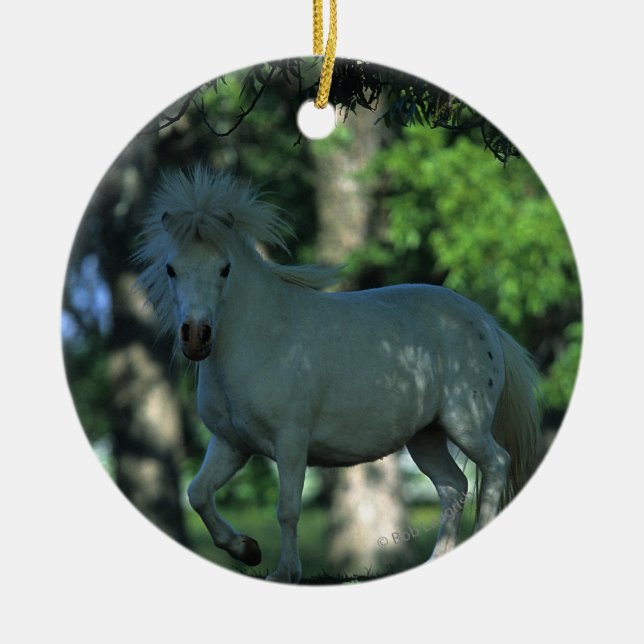 Miniaturpferd stehend in den Bäumen Keramikornament (Vorne)