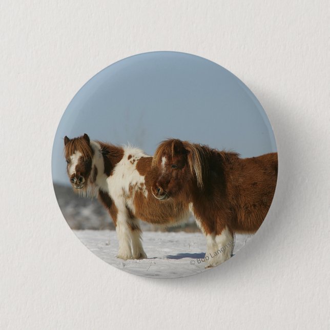 Miniaturpferde stehend im Schnee Button (Vorderseite)