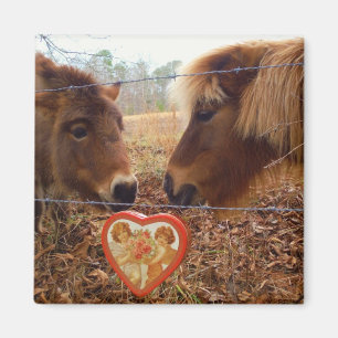 Miniaturpferde Valentine Rotes Herz Magnet