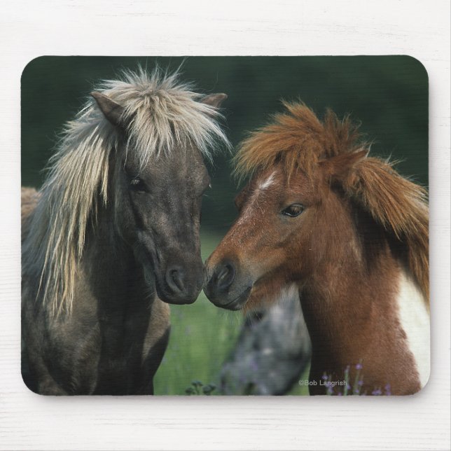 Miniaturpferdeberühren Mousepad (Vorne)