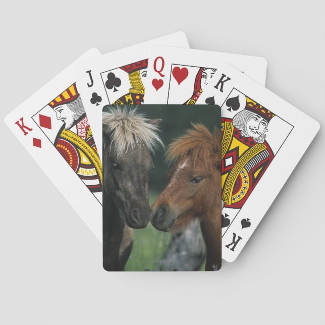 Miniaturpferdeberühren Spielkarten (Rückseite)
