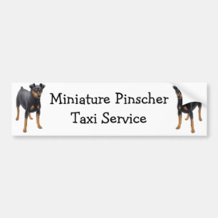 Miniaturpinscher-Autoaufkleber Autoaufkleber