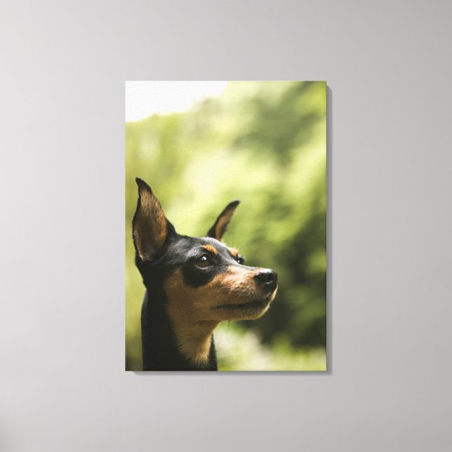 Miniaturpinscher (Button) 2 Leinwanddruck (Vorderseite)