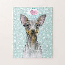 Miniaturpinscher Hund Portrait Niedliche WelpenLie
