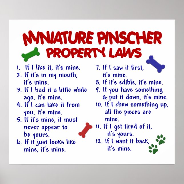 MINIATURPINSCHER PL2 POSTER (Vorne)