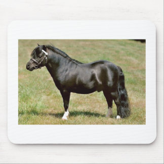 Miniaturpony Stallion Mousepad