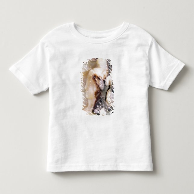 Miniaturporträt von Alexander Kleinkind T-shirt (Vorderseite)