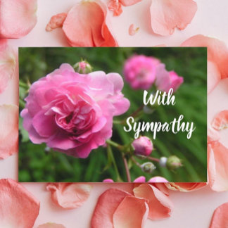 Miniaturrosa Rosen Grosser Schriftart Sympathiekar Karte