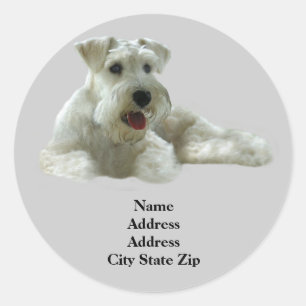Miniaturschnauzer-Adressenkennzeichen Runder Aufkleber