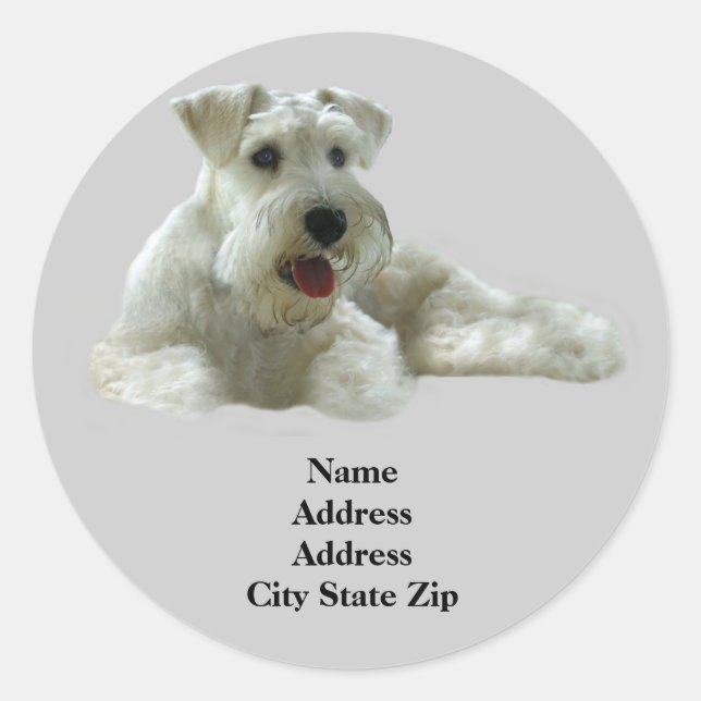 Miniaturschnauzer-Adressenkennzeichen Runder Aufkleber (Vorderseite)