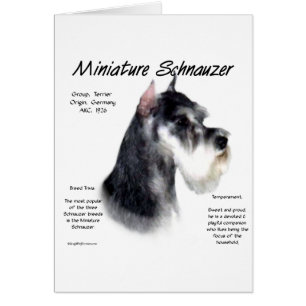 Miniaturschnauzer Geschichtsdesign