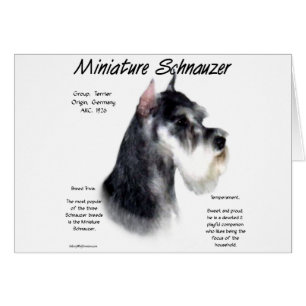 Miniaturschnauzer Geschichtsdesign