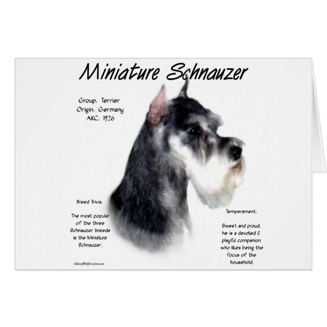Miniaturschnauzer Geschichtsdesign (Vorderseite (Horizontal))