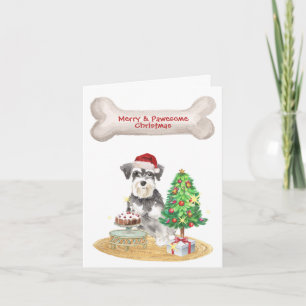 Miniaturschnauzer Weihnachtsmann-Mütze Weihnachten