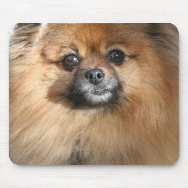 MiniaturSpitz-Mausunterlage Mousepad (Vorne)