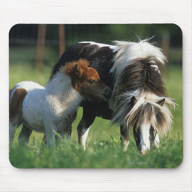 Miniaturstute u. Fohlen 2 Mousepad (Vorne)