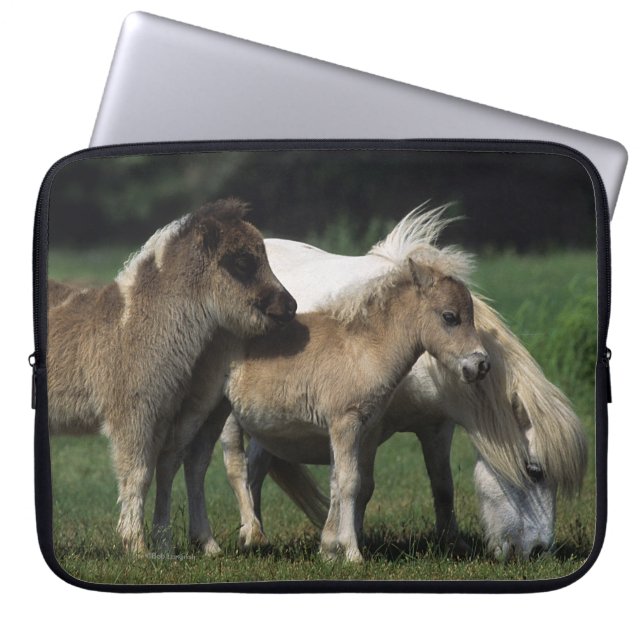 Miniaturstute u. Fohlen 3 Laptopschutzhülle (Vorderseite)