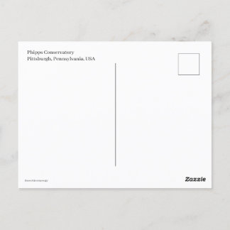 Miniaturtrolly Postkarte