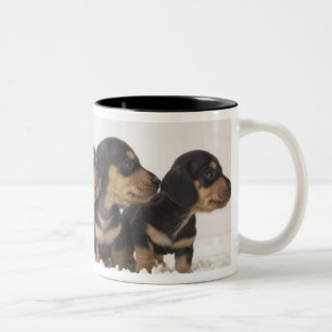 MiniDackel vier Zweifarbige Tasse