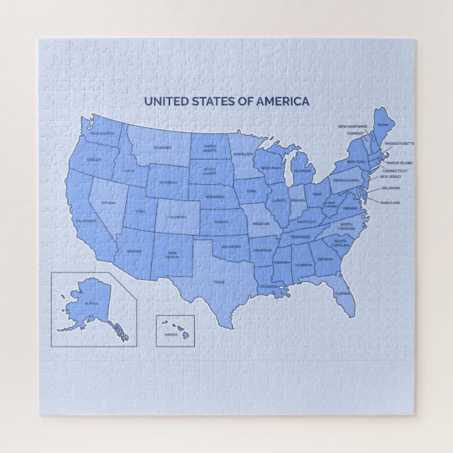 Minimal Blue United States Map Illustration (Vertikal)