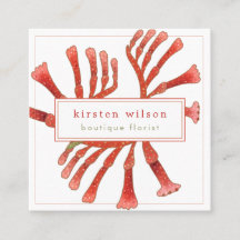 Minimal, elegant Kangaroo Paw Blume Square Busi