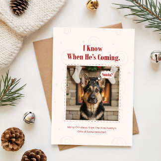 Minimal lustiges niedliches Hunde-Foto Weihnachten