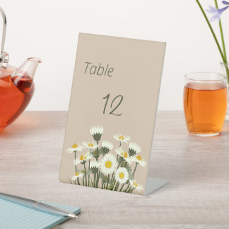 Minimal weiße Daisy Blume auf Beige Hintergrund Sockelschild
