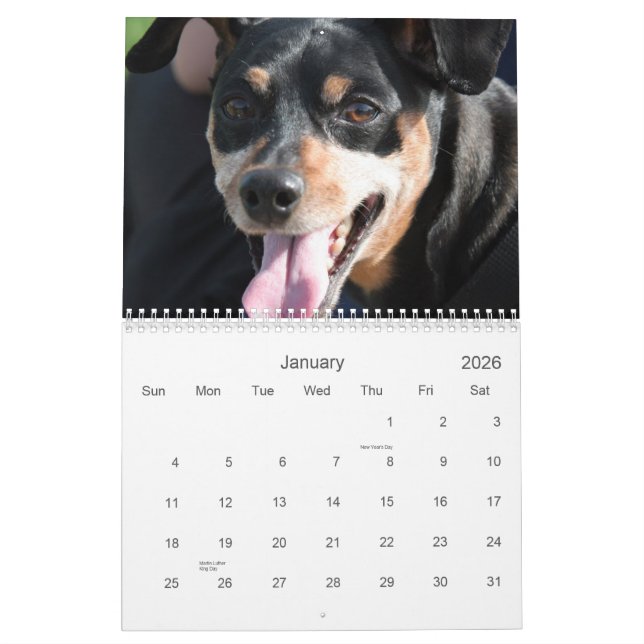Minimale Buttone 2013 Kalender (Jan 2026)