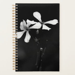 minimale schwarze und weiße Blumenelemente Planer