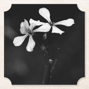 minimale schwarze und weiße Blumenelemente Untersetzer