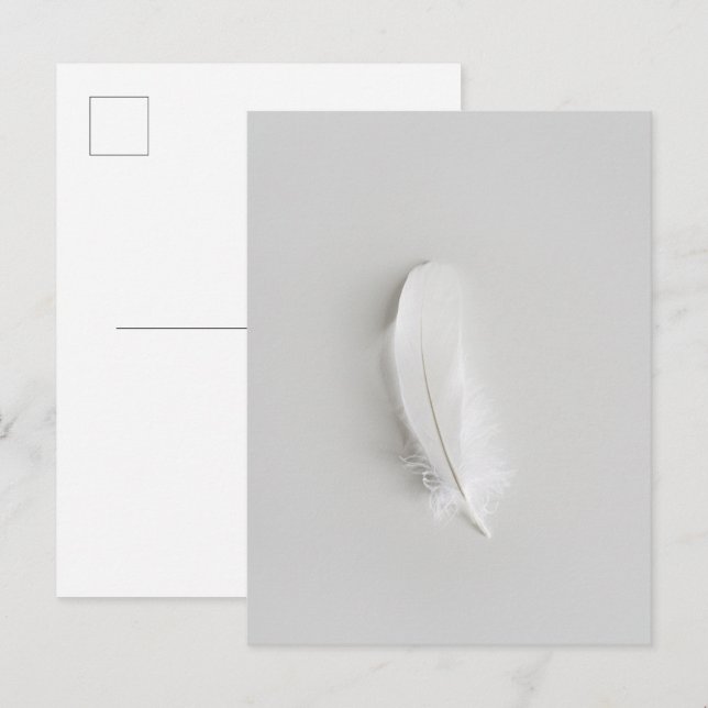Minimale weiße Feder Postkarte (Vorne/Hinten)