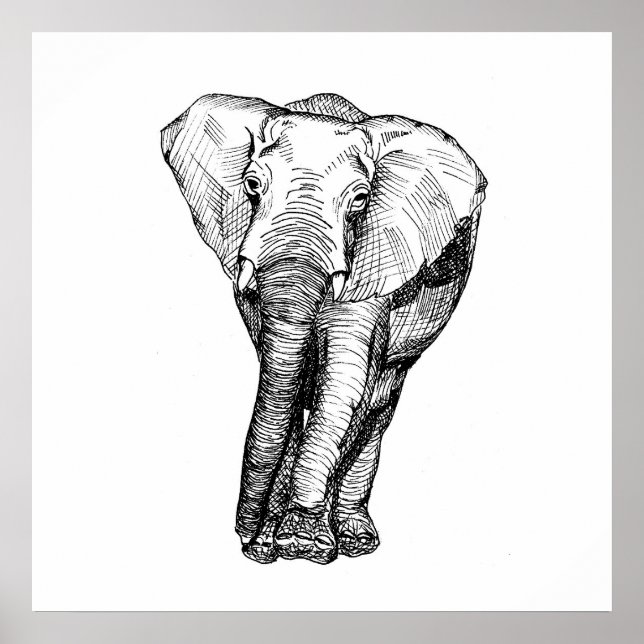 Minimalismus Schwarz-Weiß, Tiere, Original Poster (Vorne)