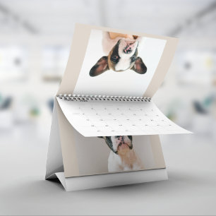 Minimalist Beiges Fotoalbum für Haustierfotos Kalender