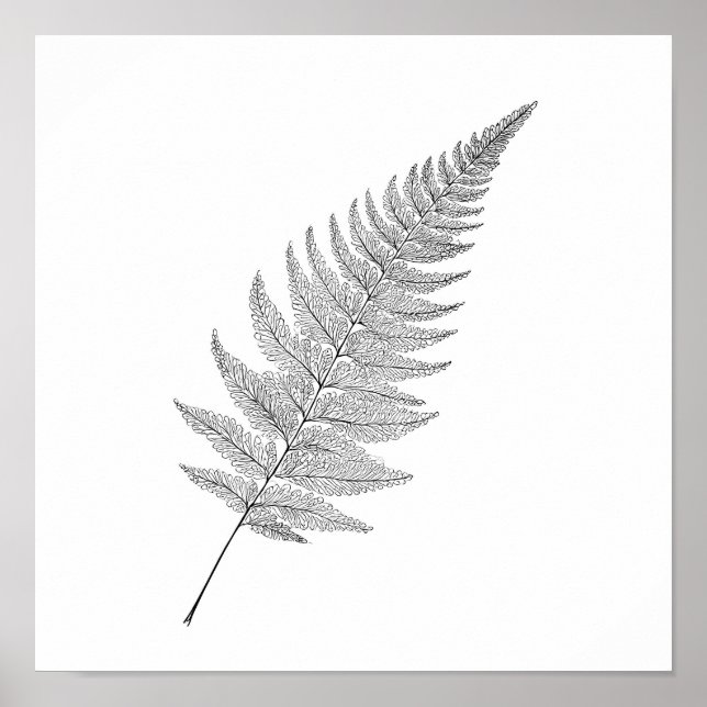 Minimalist Botanical Print: Elegant Fractal Fern Poster (Vorne)