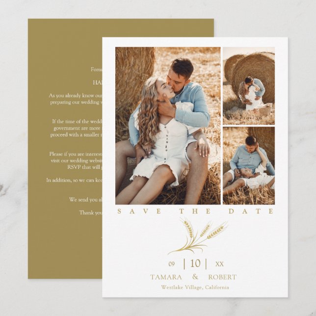 Minimalist Golden Wheat 3 Photos Collage Wedding (Vorne/Hinten)