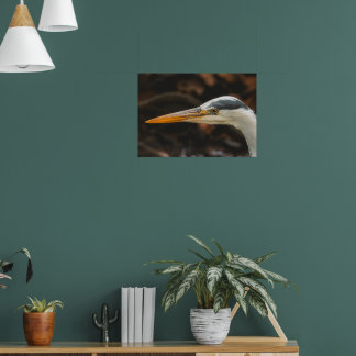 Minimalist Grey Heron Profile Fine Art Print Poster