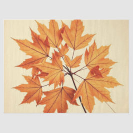 Minimalist Maple Leaves Art – Botanical Print Seidenpapier