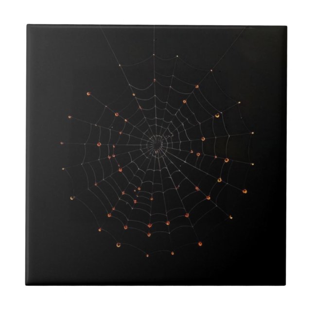 Minimalist Spider Web Halloween Ceramic Tile Fliese (Vorderseite)