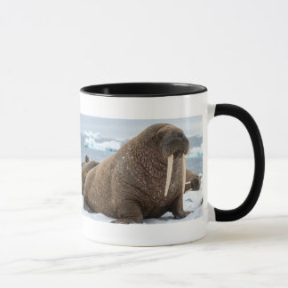 Minimalist Walross Tasse | Einzigartiges Geschenk