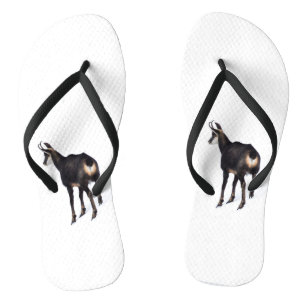 Minimalistisch Alpinistisches Gämse Bergziege auf Flip Flops