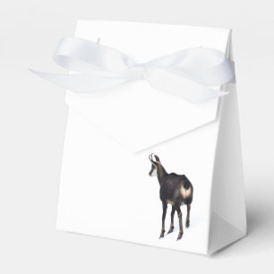 Minimalistisch Alpinistisches Gämse Bergziege auf  Geschenkschachtel