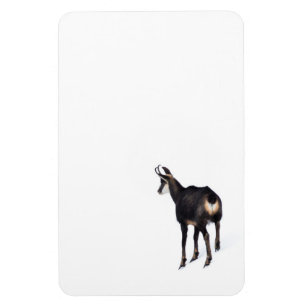 Minimalistisch Alpinistisches Gämse Bergziege auf  Magnet