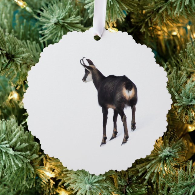 Minimalistisch Alpinistisches Gämse Bergziege auf  Ornament Karte (Insitu (Baum))