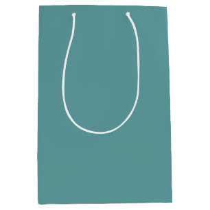 Minimalistisch Beruflich Modernes Schlichtes Cadet Mittlere Geschenktüte