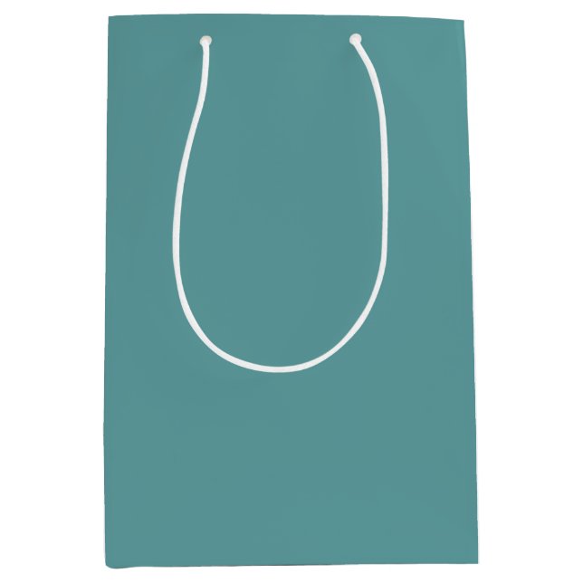 Minimalistisch Beruflich Modernes Schlichtes Cadet Mittlere Geschenktüte (Vorderseite)